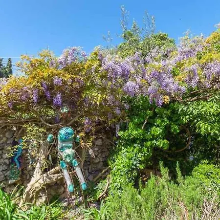 In 43526 * דוברובניק