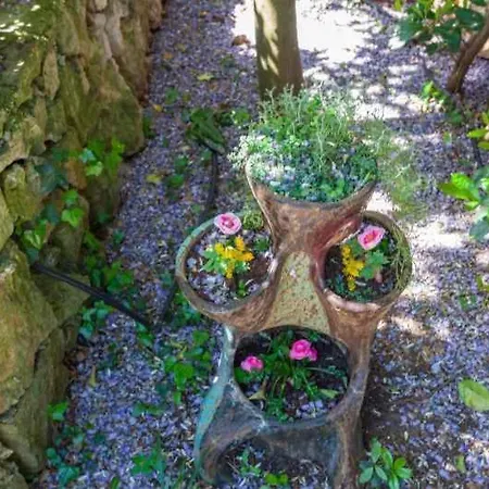 דירה In 43526 דוברובניק