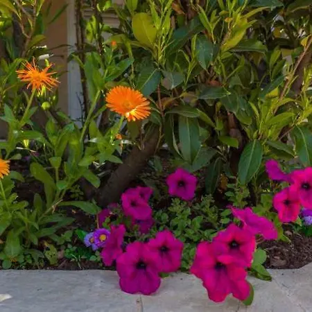 In 43526 Апартаменты *