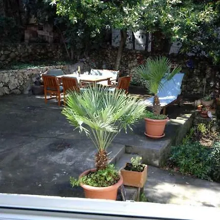 Apartment In 43526